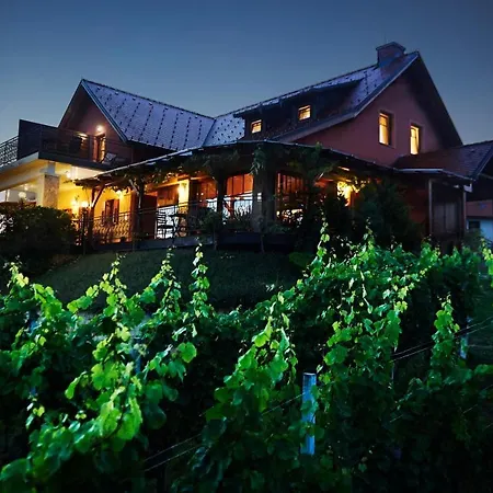 Inn Tourism Tompa *