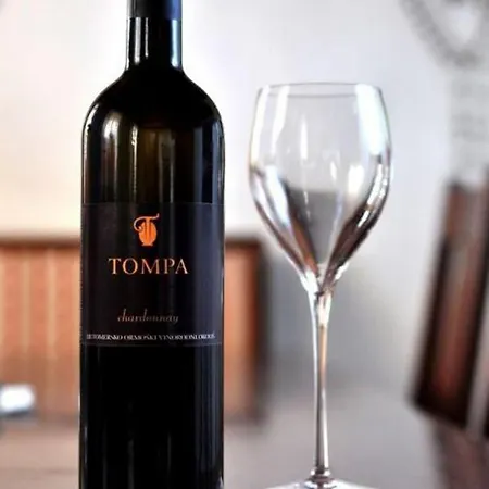 Inn Tourism Tompa